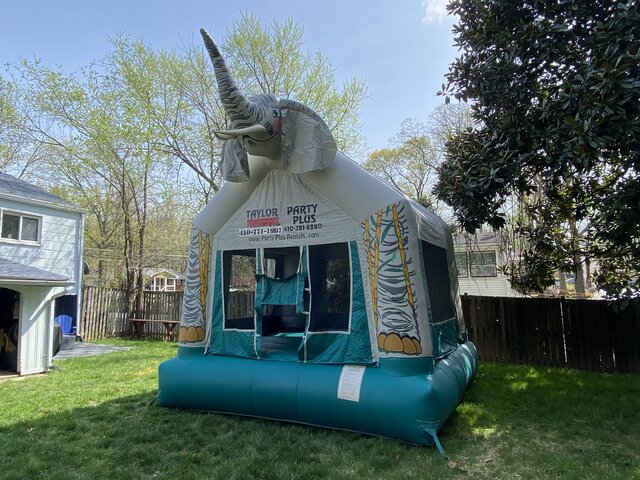 13x13 Elephant Bounce House