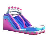 Picture of Princess 12 foot waterslide