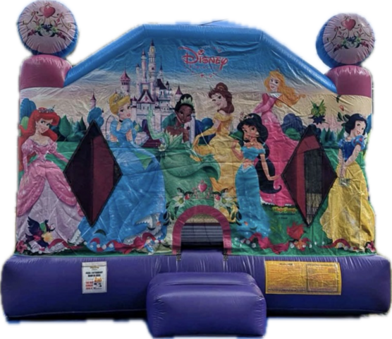 Disney Princess Bounce House