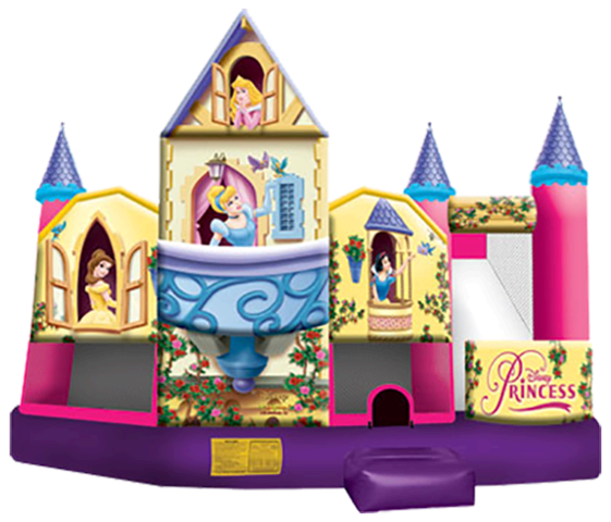 disney-princess-combo-5-in-1-wet-or-dry