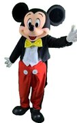Boy Mouse Costume