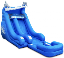 18ft Dolphin Super Splash Water Slide