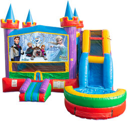 Frozen Castle Combo<br>Wet or Dry</br>