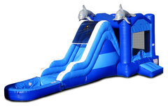 Dolphin Side Slide ComboWet or Dry
