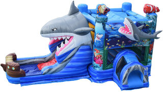 Feeding Frenzy Combo Wet Or Dry