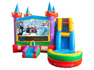 Frozen Castle Combo Wet Or Dry