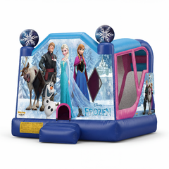 <b>Frozen 4 in 1 Combo</b><br><small>Wet or Dry • Inflatable Combo</small>