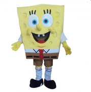 Sponge Costume