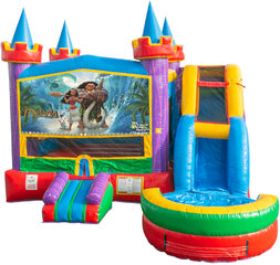 <b>Moana Castle Combo</b><br><small>Wet or Dry • Inflatable Combo</small>