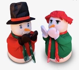 Mr and Mrs Snow Machines