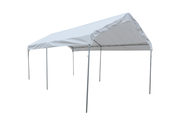 20 x 30 Canopy