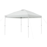 10 x 10 Tent 