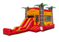 Lava Tropical Combo Dry Slide