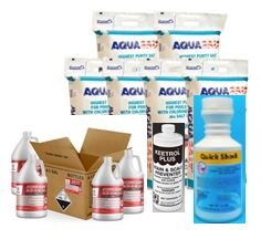 Salt Water Start Up Chemical Kit (6 Bags of Salt, 1 Scaling Agent, 1 case of acid and 5lbs. Chlorine Shock)