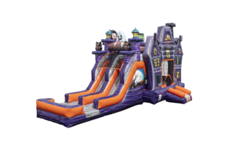 HAUNTED MANSION COMBO
