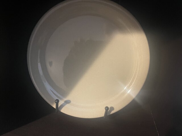 9in sandy color buffet plates