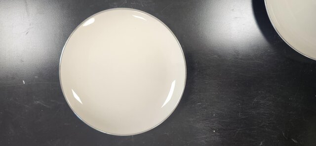 Plate 8in RS