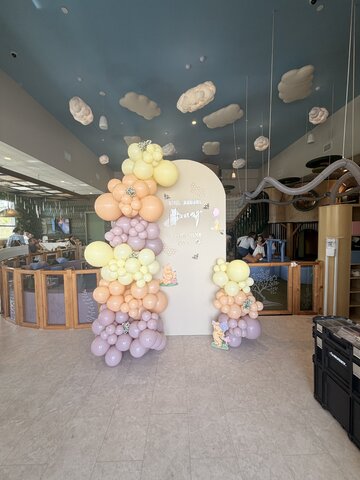 Custom Balloon Garland with Chiara Backdrop rental