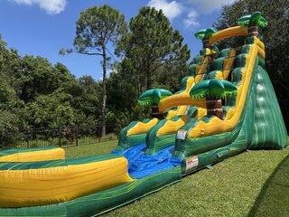 22ft Cali Palms Water Slide