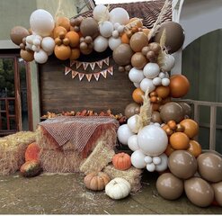 Balloon Garland w/ Backdrop