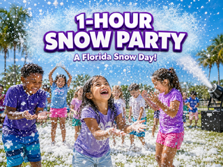 1 Hour Snow Party Experience
