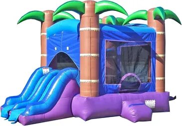 Forest Bounce House with Slides - Dry