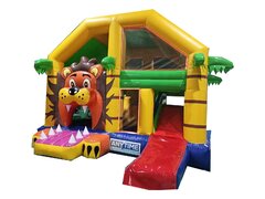 Lion Bounce House ( Dry)