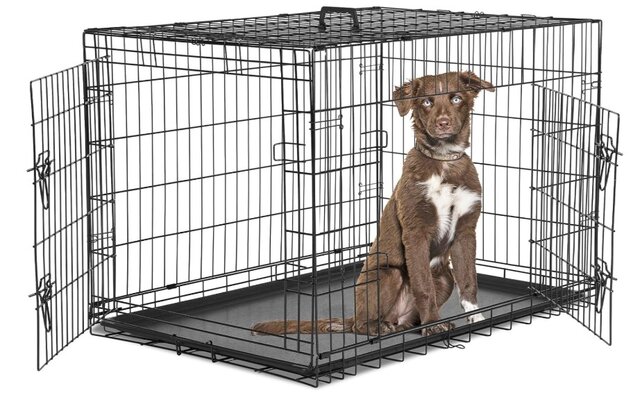 Dog Crate