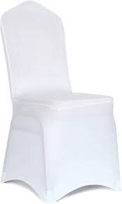 Chair Covers-individual