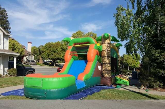 A green and brown tropical-themed inflatable water slide with a pool at the base, set up in a residential backyard