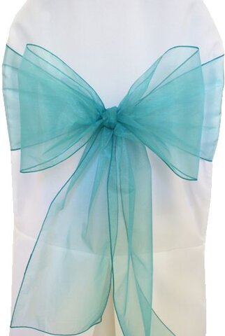 Organza Sashes Teal