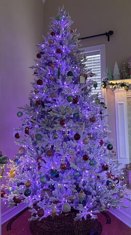 C-7.5 Breckenridge Flk Tree