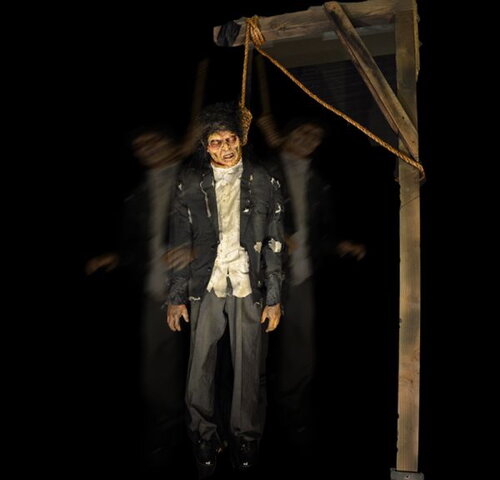 Hangman Thrasher