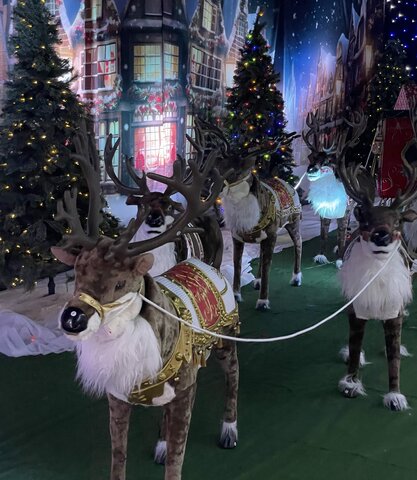 Deers in Old Town