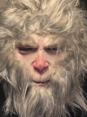 GorillaMask