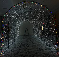 Christmas Light Tunnel