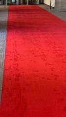 16ft Red Carpet