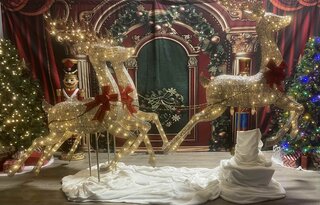 Reindeerprancing 3 gold