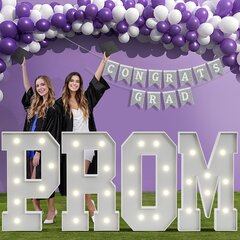4ft Prom Letters