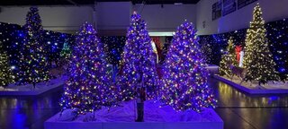 C-ChristmasTree Maze