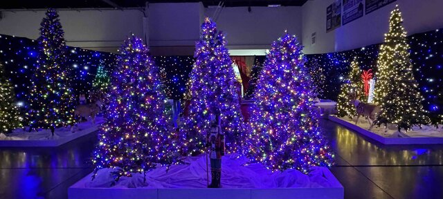 C-ChristmasTree Maze