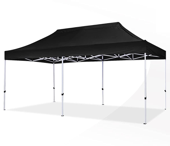 20 x 10 Canopy Tent