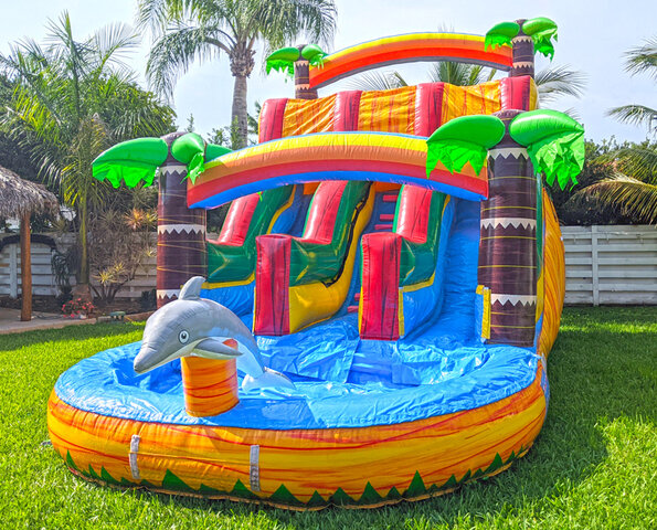 16ft Dolphins Double-Lane Waterslide (S33)