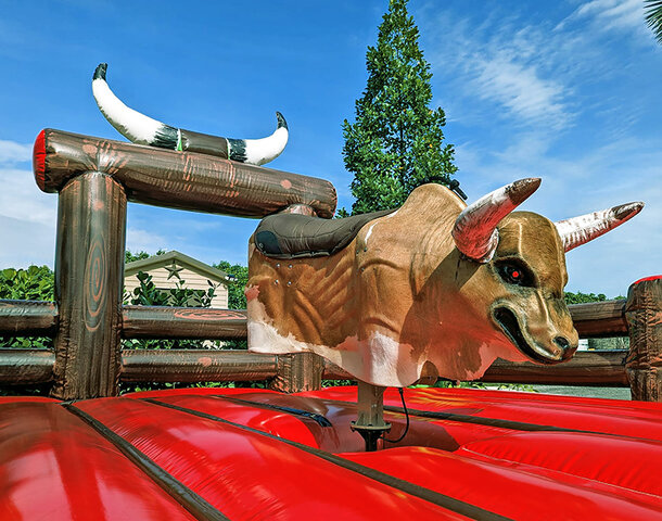 Mechanical Bull