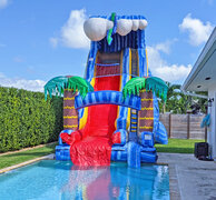 24ft Wild Waves Slide for Pools (S46)