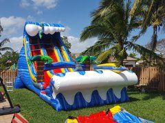 24ft Double-Lane Wild Waves Waterslide (S47)