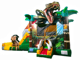 Dinosaur Bounce House Combo (C26)