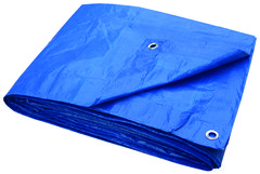 Tarps for inflatable entrance