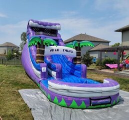 Wild Thing Waterslide