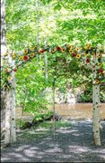 Birch Arch 